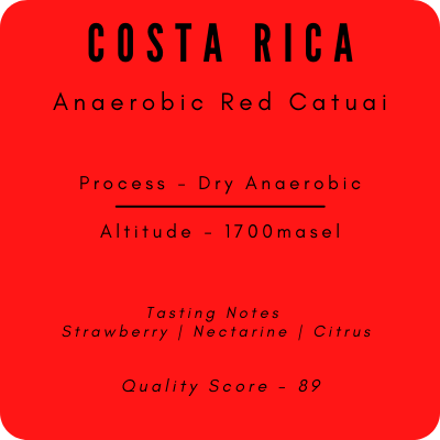 Costa Rica Coffee - Anaerobic Red Catuai - Best Coffee - Roasted Coffee